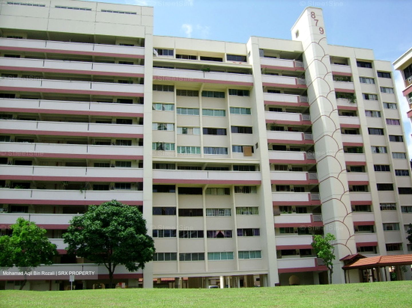 Blk 879 Tampines Spring (Tampines), HDB 3 Rooms #581750951